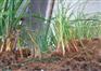 山东抗冲生物毯供应