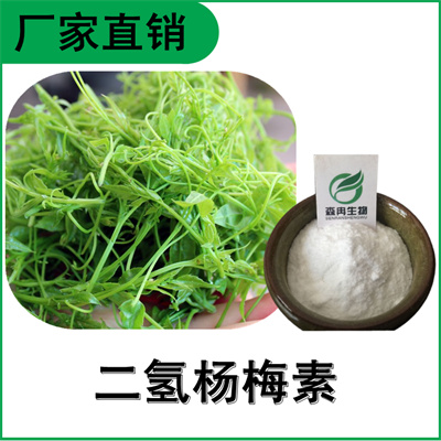 森冉生物 二氢杨梅素98% 藤茶提取物 白蔹素