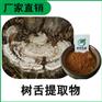 森冉生物 树舌提取物 树舌多糖 赤色老母菌提取物