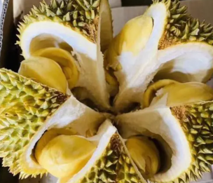 泰国榴莲越来越受欢迎！！！  泰国榴莲进口清关  怎样进口泰国榴莲  代理报关清关