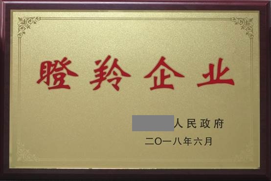 申请专利去哪里申请 注意事项 专利申请的原则  商标注册  ISO