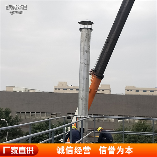 垃圾填埋场沼气火炬 厌氧沼气燃烧收集设备  沼气净化火炬  地面内燃式沼气火炬