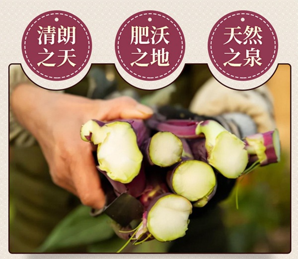 武汉地标农产品洪山菜苔清爽脆嫩家常做法简单