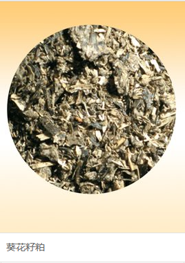 进口虾蛄总体流程  进出口  报关