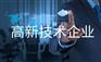 金乡县高新技术企业认定对专li的要求