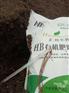 有机肥腐熟剂 粪便发酵剂 滤泥发酵菌剂 生物菌种