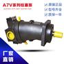 力士乐柱塞泵马达A6V55HS22FZ1产品规格
