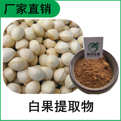 森冉生物 白果提取物 银杏果提取物 植物提取原料粉&nbsp;&nbsp;白果粉