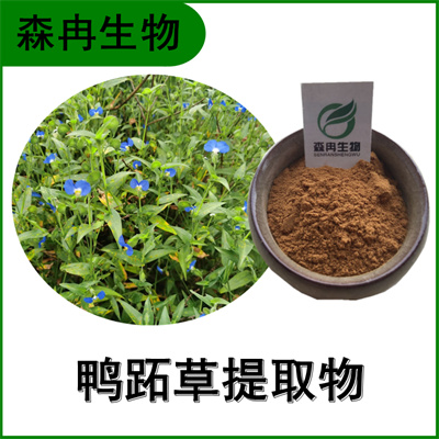 森冉生物 鸭跖草提取物 鸭脚草提取物 植物提取原料粉&nbsp;&nbsp;鸭跖草粉