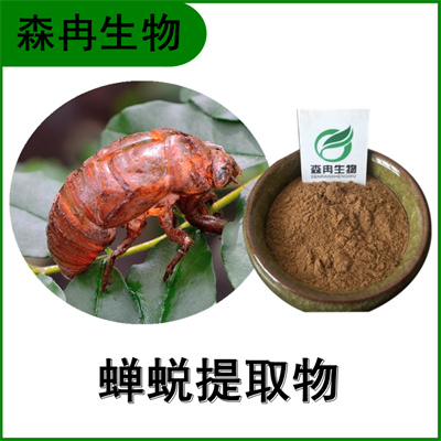 森冉生物 蝉蜕提取物 蝉壳提取物 蝉衣浓缩粉