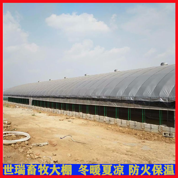 装配式养牛大棚建设 肉牛养殖大棚搭建 牛舍大棚施工厂家
