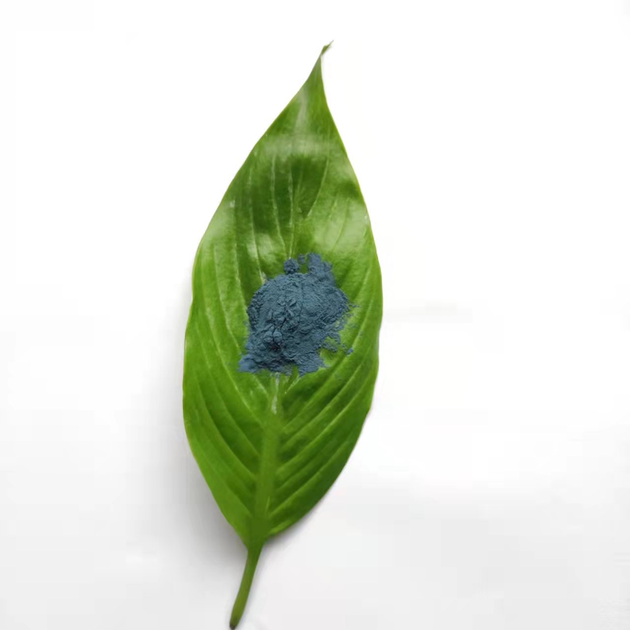 九朋高效除甲醛污染物光触媒5nm石墨烯二氧化钛粉CY05S