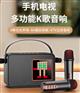 拾音灯音箱麦克风户外便携K歌炫彩LED无线蓝牙音箱