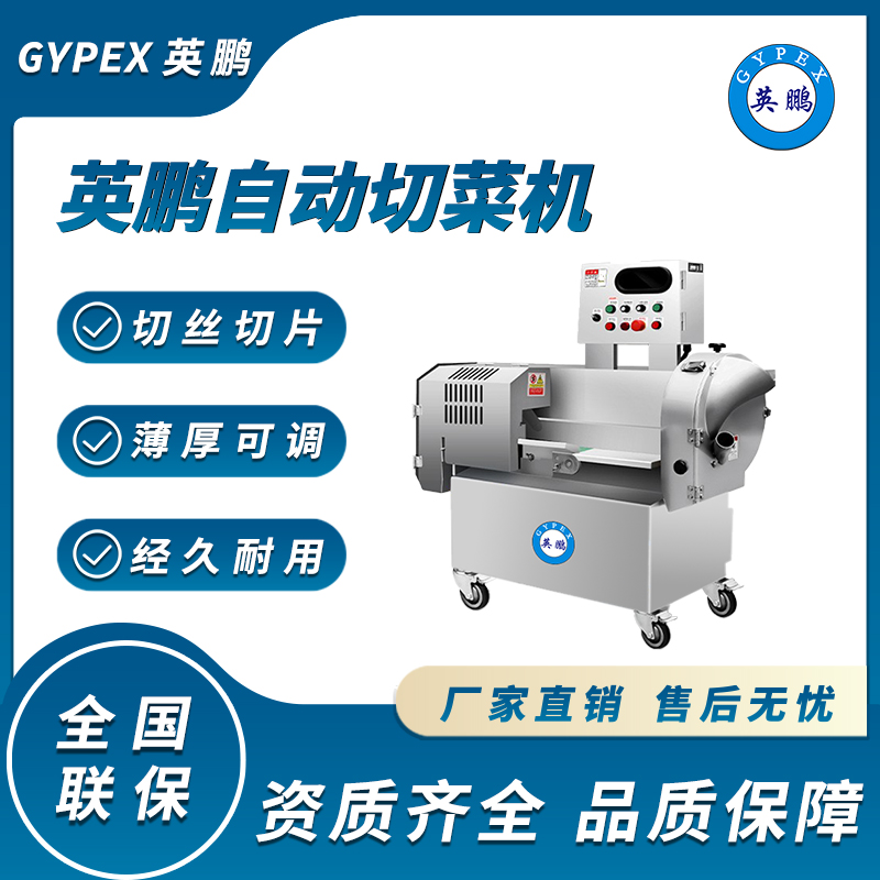 杭州多功能自动切菜机YP-610-380/EX