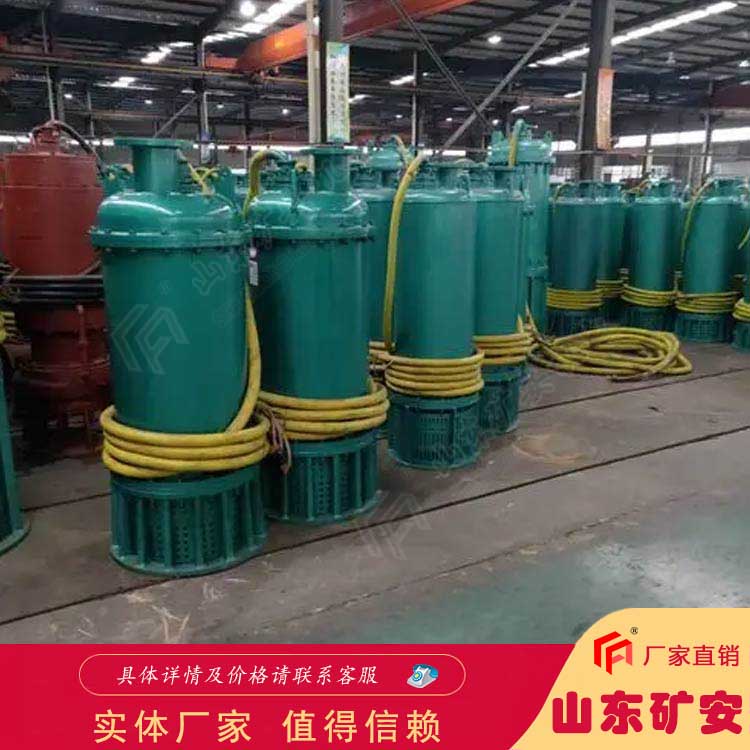 BQS(W)2.2KW矿用潜水排沙电泵 产品优良