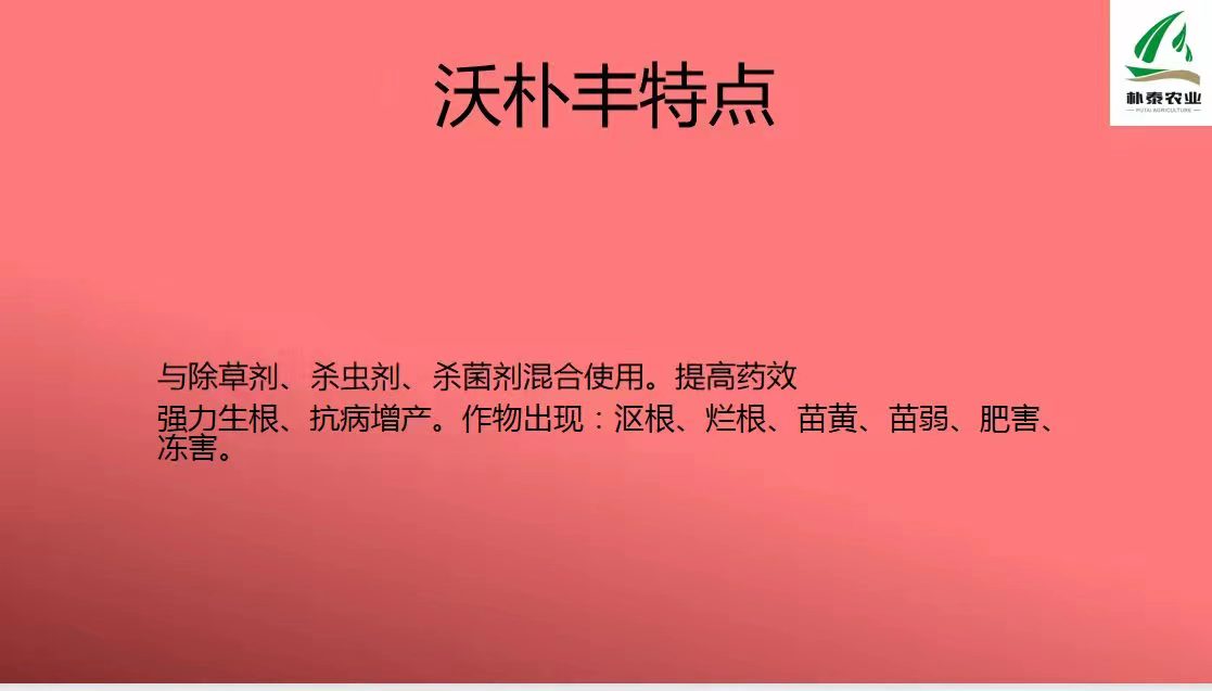 沃朴丰促进小麦分蘖肥  叶面肥厂家  叶面肥批发  水溶性肥料厂家
