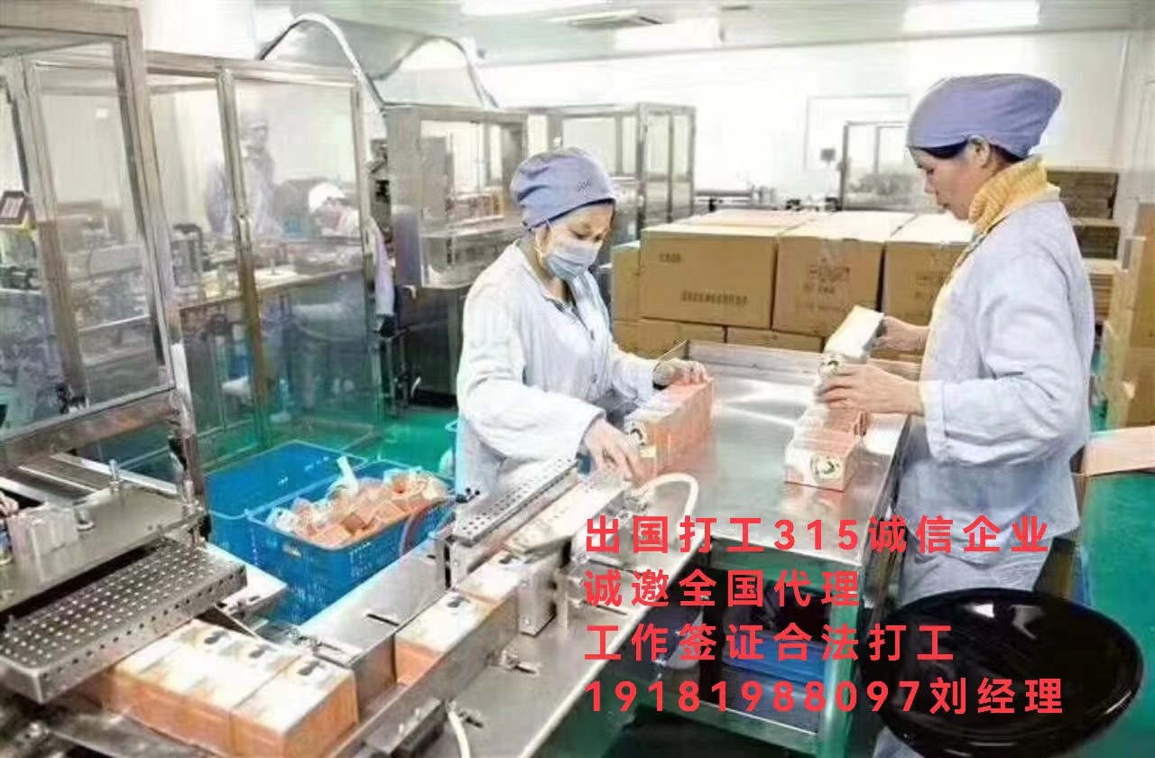 出国打工劳务出国加盟英国招工信息  出国劳务  一手项目