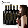 温碧霞IRENENA红酒品牌，干红葡萄酒国产贺兰山东麓产区