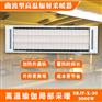 远红外高温辐射板 SRJF-X-40 电加热取暖器