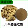 森冉生物 川牛膝提取物 甜牛膝提取物 植物提取原料粉