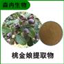 森冉生物 桃金娘提取物 金丝桃提取物 植物提取原料粉
