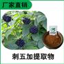 森冉生物 刺五加提取物 刺五加甙 刺柺棒提取物