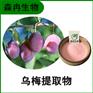 森冉生物 乌梅提取物 乌梅粉 全水溶原料粉
