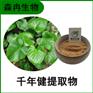 森冉生物 千年健提取物 一包针提取物 植物提取原料粉