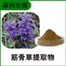 森冉生物 筋骨草提取物 白毛夏枯草提取物 全水溶原料粉