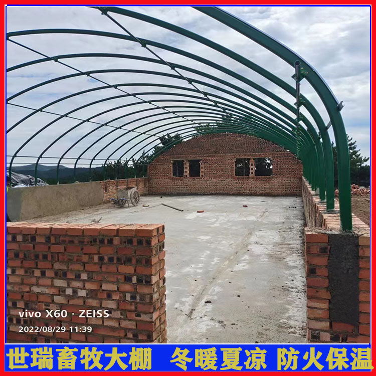 现代化养羊棚搭建 羊舍大棚材料生产 羊棚建造