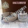 亨士乐轻载增量编码器