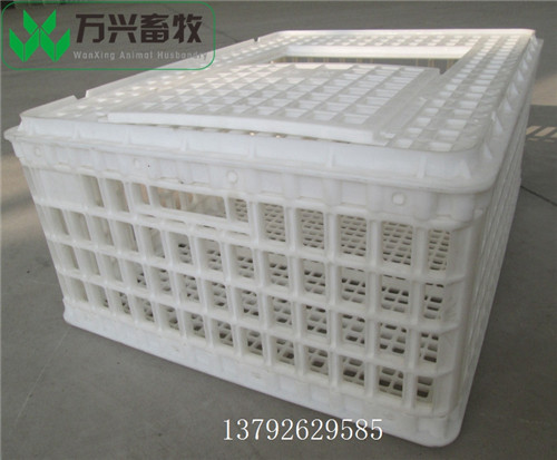 供应万兴畜牧周转运输鸡用运输笼 规格74×55.5×23cm  塑料鸡周转筐  成鸭周转筐