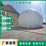 琪源双膜气柜 独立式沼气储气柜 PVDF软体干式沼气柜
