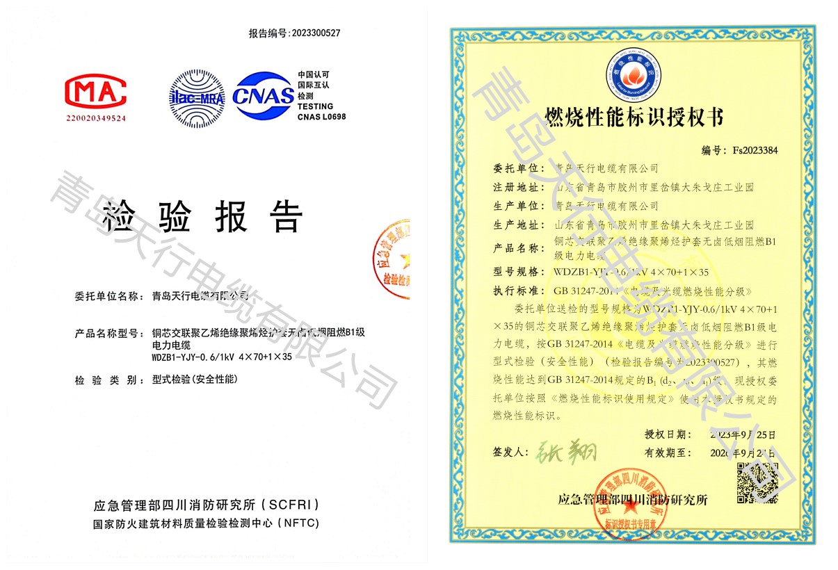 低烟无卤阻燃B1级电力电缆WDZ-YJY-B1  B1阻燃电缆  WDZB1级电缆  低烟无卤电力电缆