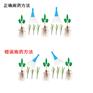 决明子苗后除草剂禾阔双除安全的除草剂