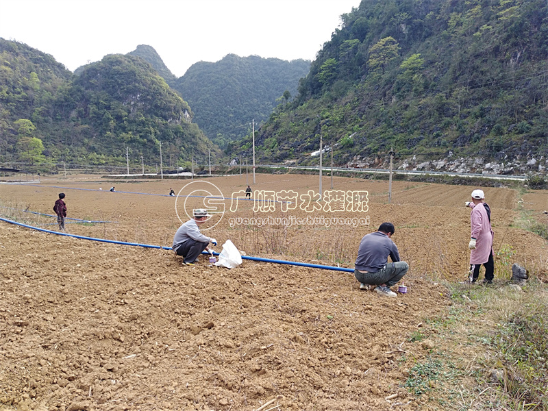 南宁有几家公司做滴灌设计安装的 有节水灌溉设备卖  南宁设计滴灌  南宁安装滴灌  设计灌溉的公司