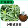 森冉生物 小蓟提取物 刺儿菜提取物 比例提取原料粉