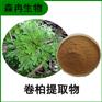 森冉生物 卷柏提取物 回阳草提取物 植物提取原料粉