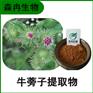 森冉生物 牛蒡子提取物 大力子提取物 鼠粘子提取物