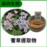 森冉生物 蓍草提取物 一枝蒿提取物 比例提取原料粉
