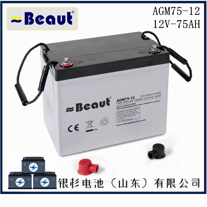 英国Beaut蓄电池AGM40-12?船用设备消防系统用电源  12V-40AH蓄电池