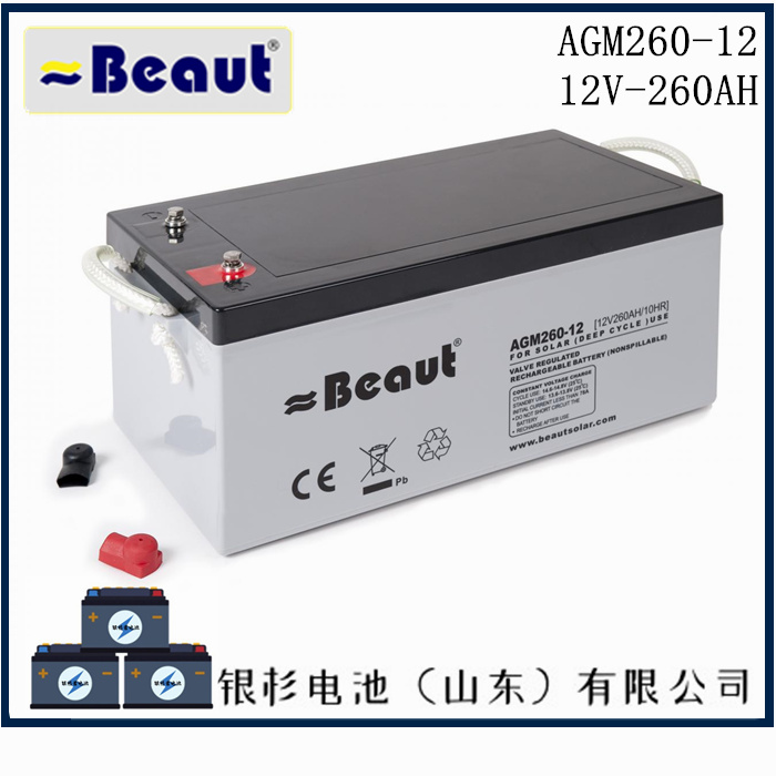英国Beaut蓄电池AGM120-12备用电源应急系统用电源  12V-120AH蓄电池