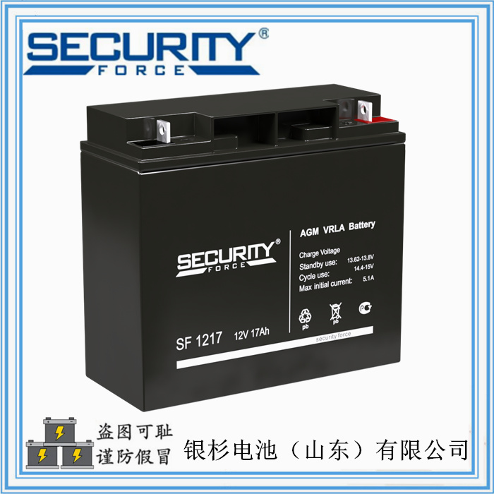 原装SecurityForce蓄电池SF1212主机UPS用  12V-12AH蓄电池