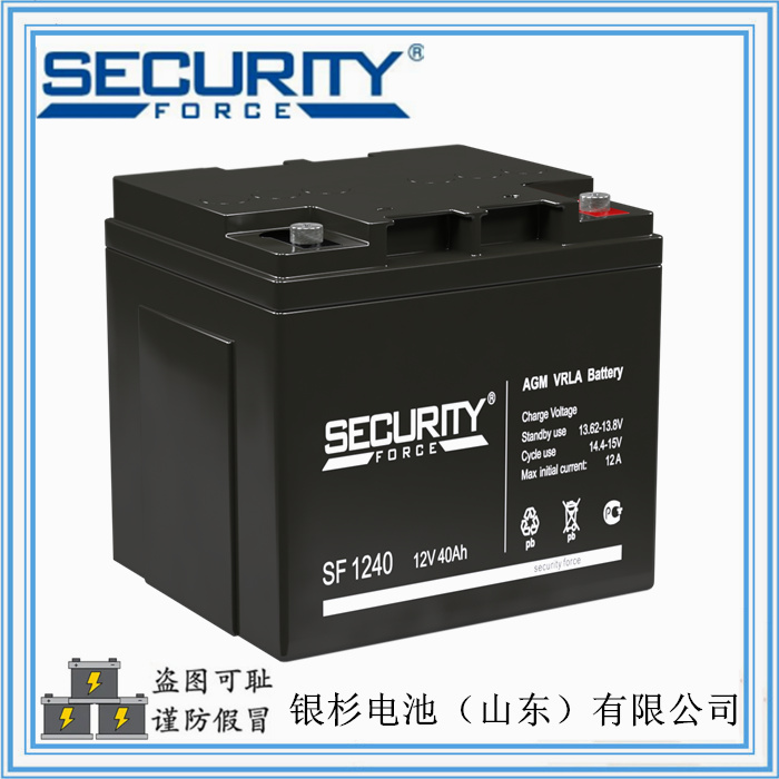 原装SecurityForce蓄电池SF1212主机UPS用  12V-12AH蓄电池