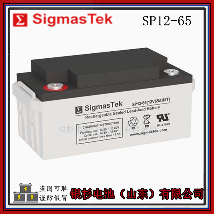 原装SigmasTek蓄电池SP12-250?机房UPS通讯