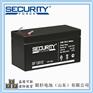 SecurityForce蓄电池SF12012主机UPS备用