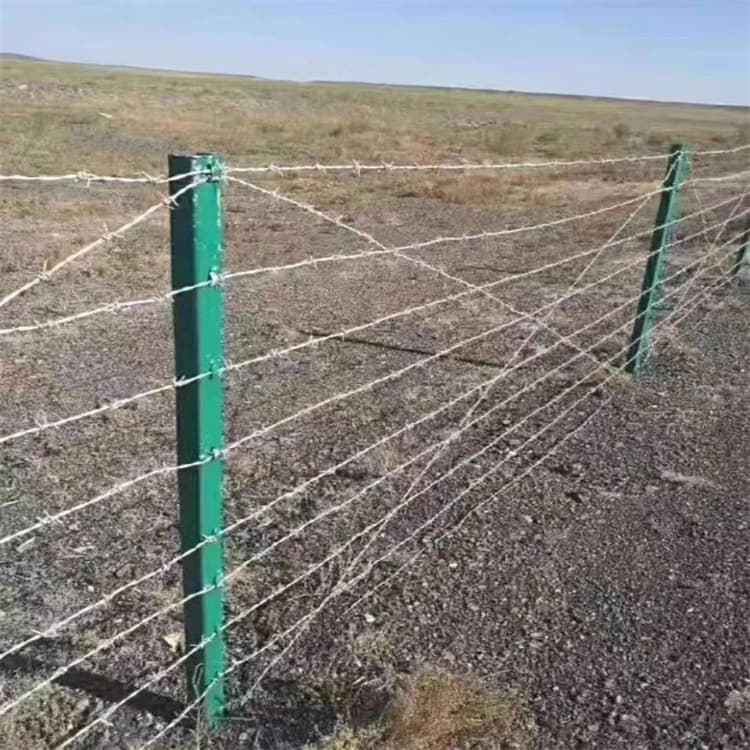 河北不锈钢刀片滚笼厂家深圳刀片刺网佛山铁路防护刺绳