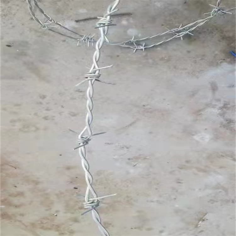 河北刺铁丝隔离栅厂家供应安丘公路铁蒺曲阜带刺铁丝网