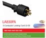 NEMA L8-30 480V 美国自锁延长线