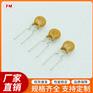 RF1000保险丝电阻等电子元件，可定制